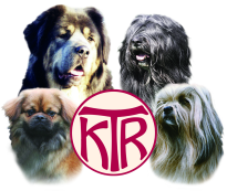 KTR