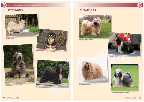 Veteranen und Champions