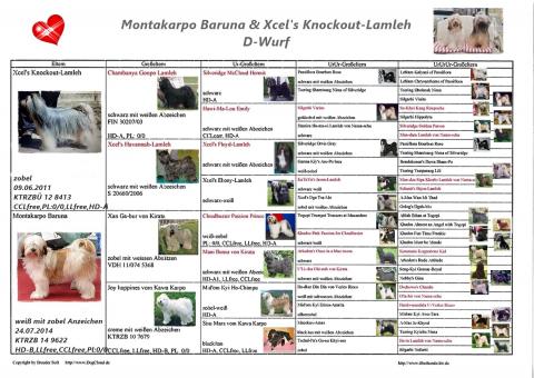 Tibet- Terrier Ahnentafel 