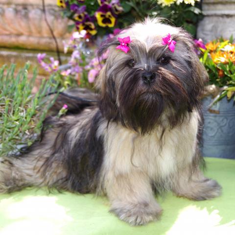 Lilly am 18.05.23