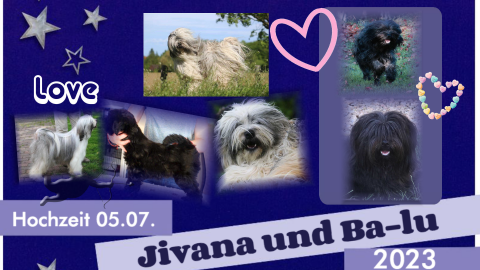 Ba-lu und Jivi Hochzeit