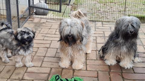 Familienfoto: Ibi, ihre Schwester Kha-thi und Mami Ne-char