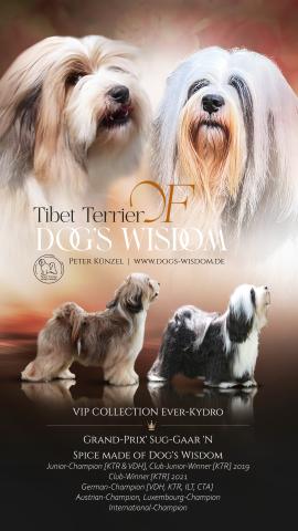Ahnentafel des L-Wurf made of Dog's Wisdom 2025 mit den beiden Eltern, Outy und Gin