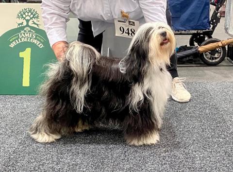 Die Mami: Boshay's Karuna Nima