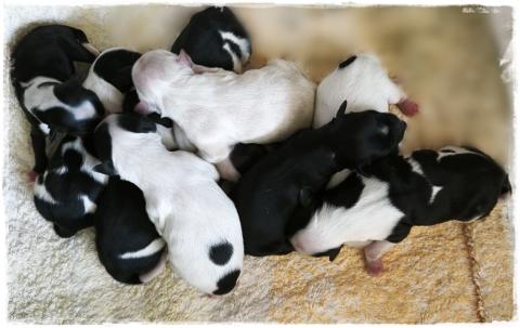 Wir sind so stolz und glücklich