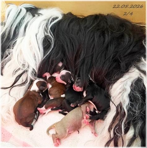 Juhuuu die Babys sind da!