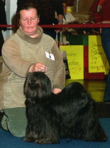 Xamba bester der Gruppe 9 in Kassel