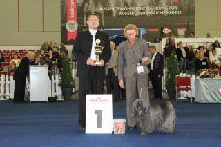 Tibet Terrier Hündin Tri-Va-Ten Anagarika Taro bester Veteran BS-Dortmund 2011