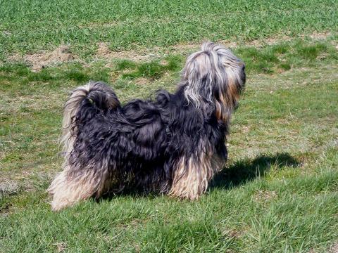 Flurin im April 2016 beim Spaziergang