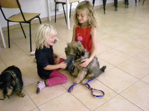 Tibet Terrier Hündin Nan-dari Lamleh von Nama-schu/ geht jetzt in den Hundeschulkindergarten