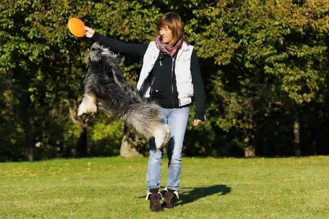 Tibet Terrier Ski-La-Kyi Jari-Justus