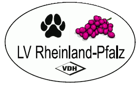 LV Rheinland Pfalz im VDH