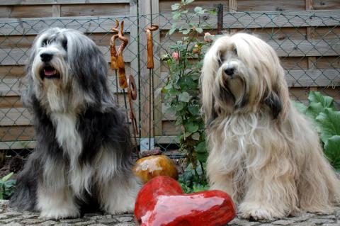 Hochzeitsfoto Ruby und Justus