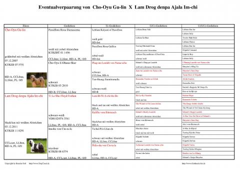 Ahnentafel/Pedigree der Welpen