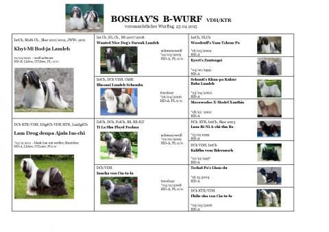 Ahnentafel / Pedigree Boshay's B-Wurf