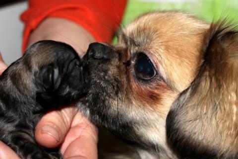 Mutter und Tochter kurz nach der Geburt