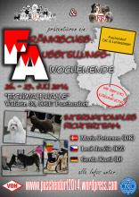 Flyer Puschendorf 2014