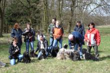 Hundespaziergang Waldweg