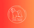 L-Wurf of Dogs Wisdom 2025, Tibet Terrier Logo
